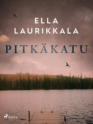 cover image of Pitkäkatu